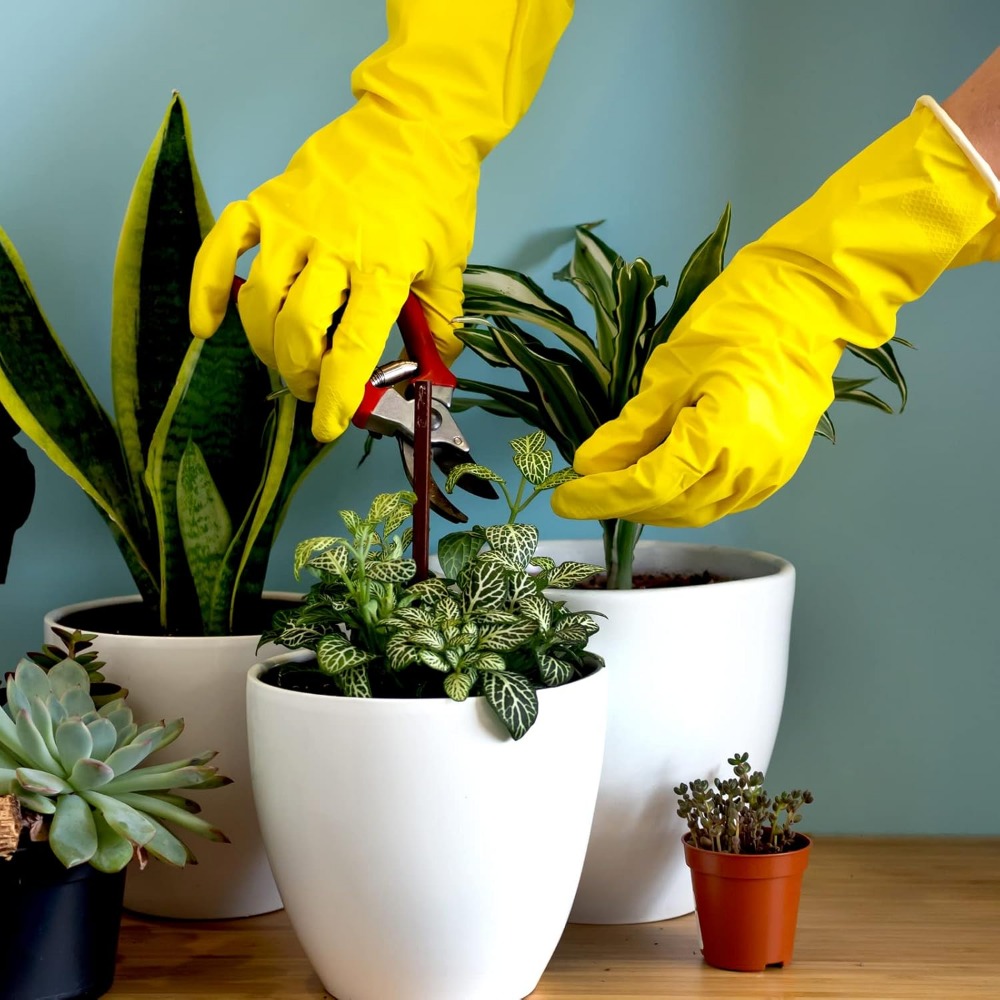 4-Pack Rubber Dishwashing Glov – Rubber Glove Cleaning Bewertung und Preis